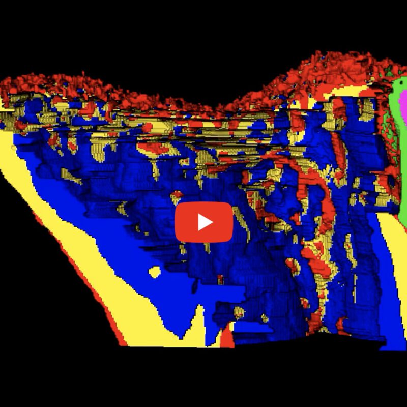 Early bone osteolytic lesion in mouse tibia at day 27 visualized with in vivo microCT-Young et al. 2024